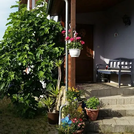 아파트 Urlaub Im Elsass